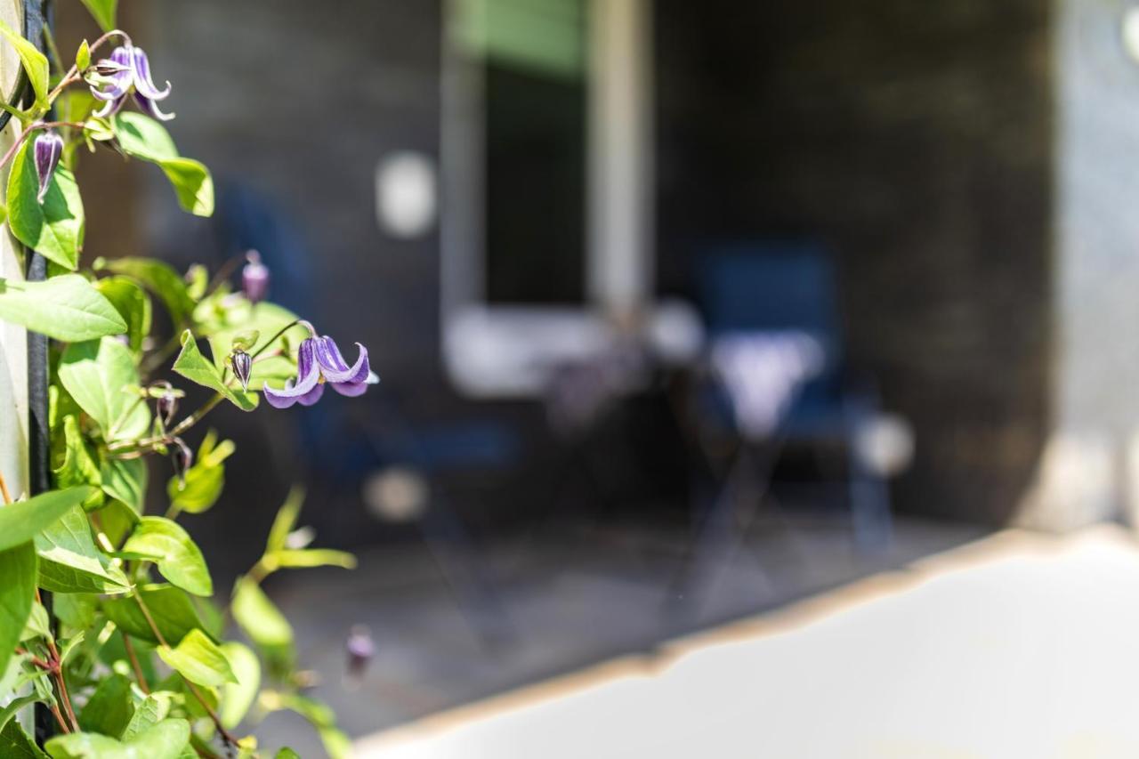 Ferienwohnung Moselpanorama Traben-Trarbach Exteriér fotografie